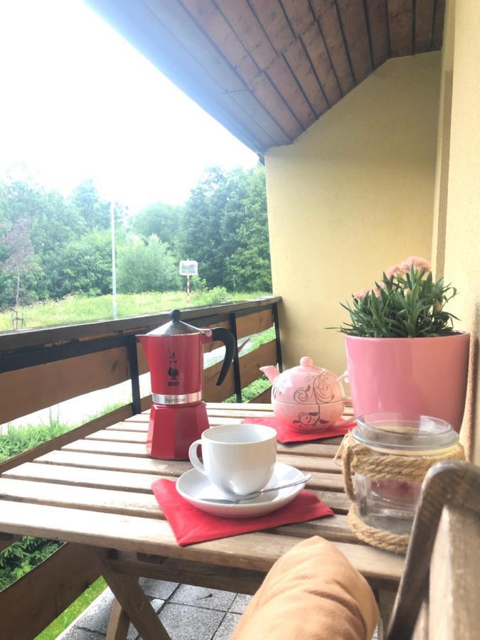 Apartman S Vyhledem Na Jezerni Stenu Железна-Руда Экстерьер фото